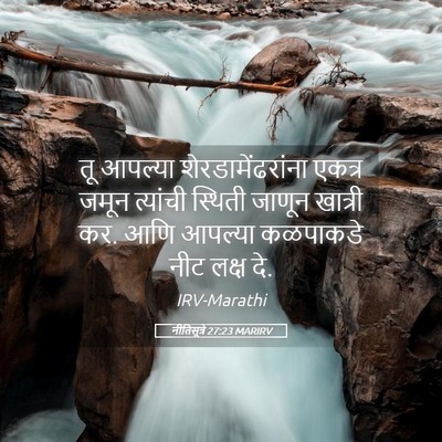Picture 05 - नीतिसूत्रे 27:23 MARIRV - तू आपल्या - Bible Verse Picture