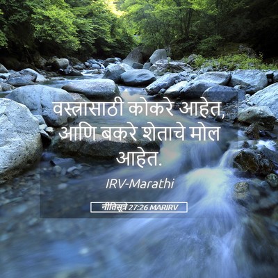 Picture 05 - नीतिसूत्रे 27:26 MARIRV - वस्त्रासाठी कोकरे - Bible Verse Picture