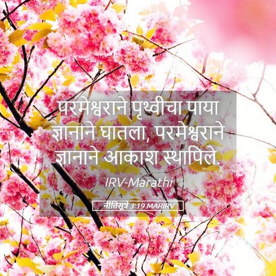 Picture 05 - नीतिसूत्रे 3:19 MARIRV - परमेश्वराने - Bible Verse Picture