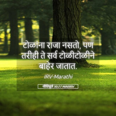 Picture 05 - नीतिसूत्रे 30:27 MARIRV - टोळांना राजा नसतो, - Bible Verse Picture