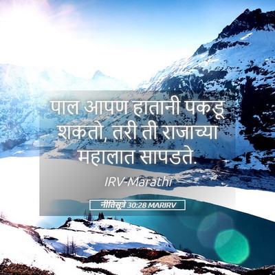 Picture 05 - नीतिसूत्रे 30:28 MARIRV - पाल आपण हातानी - Bible Verse Picture