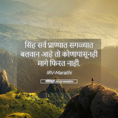 Picture 05 - नीतिसूत्रे 30:30 MARIRV - सिंह सर्व - Bible Verse Picture