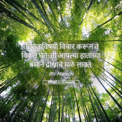 Picture 05 - नीतिसूत्रे 31:16 MARIRV - ती शेताविषयी - Bible Verse Picture