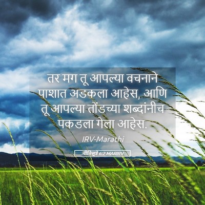 Picture 05 - नीतिसूत्रे 6:2 MARIRV - तर मग तू आपल्या - Bible Verse Picture