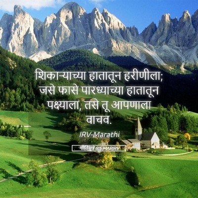 Picture 05 - नीतिसूत्रे 6:5 MARIRV - शिकाऱ्याच्या - Bible Verse Picture