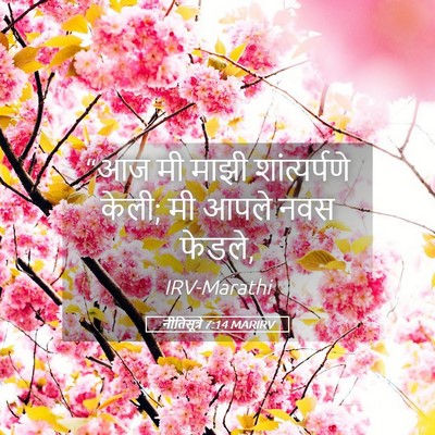 Picture 05 - नीतिसूत्रे 7:14 MARIRV - “आज मी माझी - Bible Verse Picture