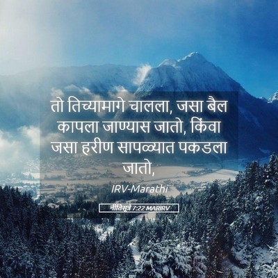 Picture 05 - नीतिसूत्रे 7:22 MARIRV - तो तिच्यामागे - Bible Verse Picture