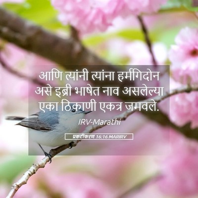 Picture 05 - प्रकटीकरण 16:16 MARIRV - आणि त्यांनी - Bible Verse Picture