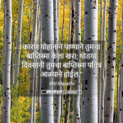 Picture 05 - प्रेषितांचीं कृत्यें 1:5 MARIRV - कारण योहानाने - Bible Verse Picture