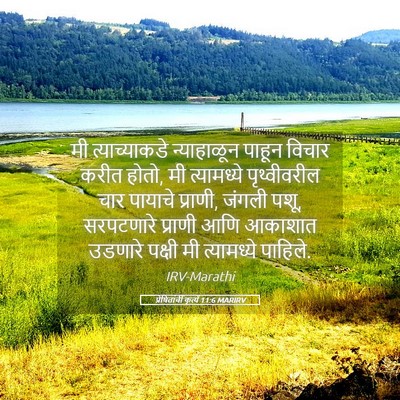 Picture 05 - प्रेषितांचीं कृत्यें 11:6 MARIRV - मी त्याच्याकडे - Bible Verse Picture