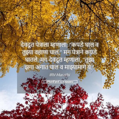 Picture 05 - प्रेषितांचीं कृत्यें 12:8 MARIRV - देवदूत पेत्राला - Bible Verse Picture