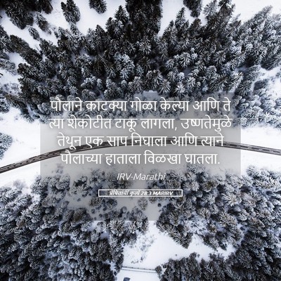 Picture 05 - प्रेषितांचीं कृत्यें 28:3 MARIRV - पौलाने काटक्या - Bible Verse Picture