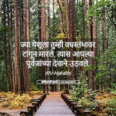 Picture 05 - प्रेषितांचीं कृत्यें 5:30 MARIRV - ज्या येशूला - Bible Verse Picture