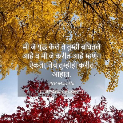 Picture 05 - फिलिप्पैकरांस 1:30 MARIRV - मी जे युद्ध केले ते - Bible Verse Picture