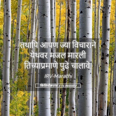 Picture 05 - फिलिप्पैकरांस 3:16 MARIRV - तथापि आपण ज्या - Bible Verse Picture
