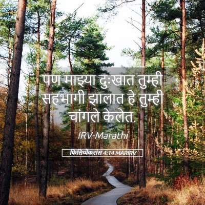 Picture 05 - फिलिप्पैकरांस 4:14 MARIRV - पण माझ्या दुःखात - Bible Verse Picture