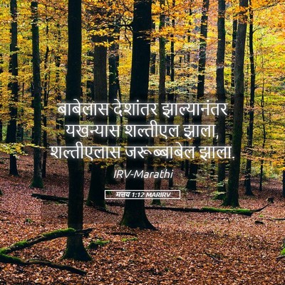 Picture 05 - मत्तय 1:12 MARIRV - बाबेलास देशांतर - Bible Verse Picture