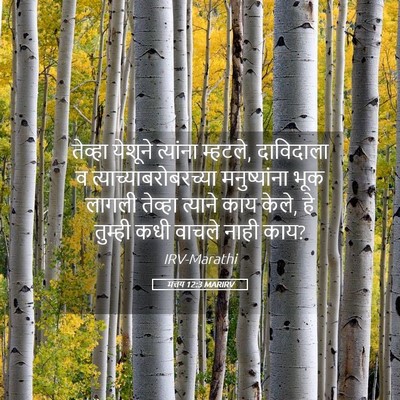 Picture 05 - मत्तय 12:3 MARIRV - तेव्हा येशूने - Bible Verse Picture