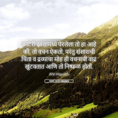 Picture 05 - मत्तय 13:22 MARIRV - काटेरी झाडामध्ये - Bible Verse Picture