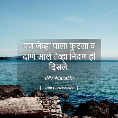 Picture 05 - मत्तय 13:26 MARIRV - पण जेव्हा पाला - Bible Verse Picture