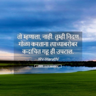 Picture 05 - मत्तय 13:29 MARIRV - तो म्हणाला, नाही. - Bible Verse Picture