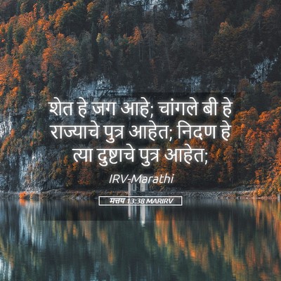 Picture 05 - मत्तय 13:38 MARIRV - शेत हे जग आहे; - Bible Verse Picture