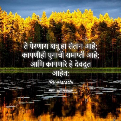 Picture 05 - मत्तय 13:39 MARIRV - ते पेरणारा शत्रू - Bible Verse Picture