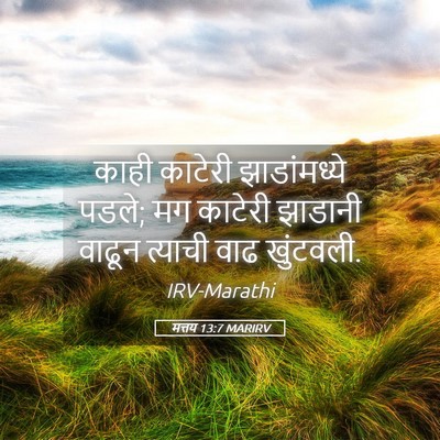 Picture 05 - मत्तय 13:7 MARIRV - काही काटेरी - Bible Verse Picture