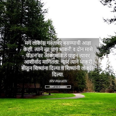 Picture 05 - मत्तय 14:19 MARIRV - मग लोकांस गवतावर - Bible Verse Picture
