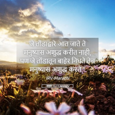 Picture 05 - मत्तय 15:11 MARIRV - जे तोंडाद्वारे आत - Bible Verse Picture