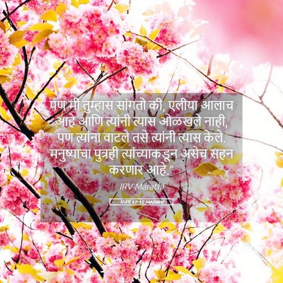 Picture 05 - मत्तय 17:12 MARIRV - पण मी तुम्हास - Bible Verse Picture