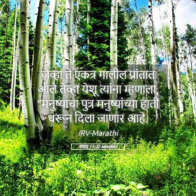 Picture 05 - मत्तय 17:22 MARIRV - जेव्हा ते एकत्र - Bible Verse Picture