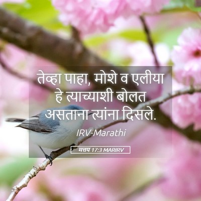 Picture 05 - मत्तय 17:3 MARIRV - तेव्हा पाहा, मोशे व - Bible Verse Picture