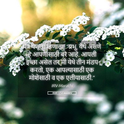 Picture 05 - मत्तय 17:4 MARIRV - पेत्र येशूला - Bible Verse Picture