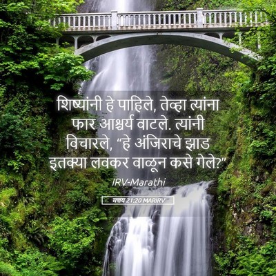Picture 05 - मत्तय 21:20 MARIRV - शिष्यांनी हे - Bible Verse Picture