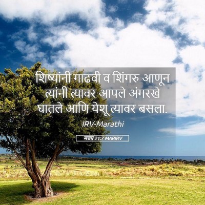 Picture 05 - मत्तय 21:7 MARIRV - शिष्यांनी गाढवी व - Bible Verse Picture
