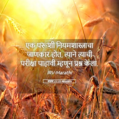 Picture 05 - मत्तय 22:35 MARIRV - एक परूशी - Bible Verse Picture