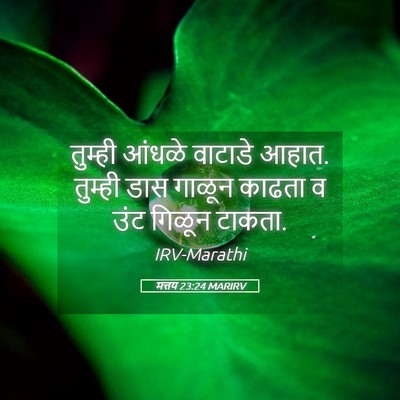 Picture 05 - मत्तय 23:24 MARIRV - तुम्ही आंधळे - Bible Verse Picture