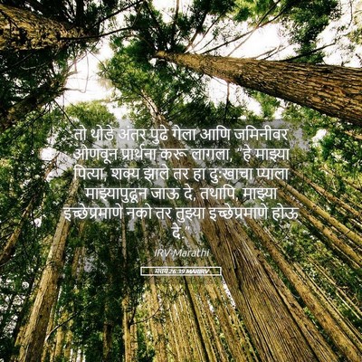 Picture 05 - मत्तय 26:39 MARIRV - तो थोडे अंतर पुढे - Bible Verse Picture