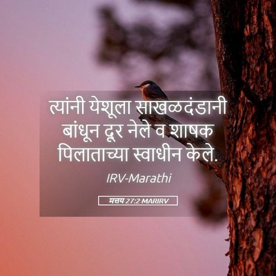 Picture 05 - मत्तय 27:2 MARIRV - त्यांनी येशूला - Bible Verse Picture