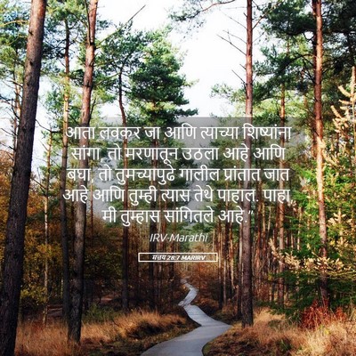 Picture 05 - मत्तय 28:7 MARIRV - आता लवकर जा आणि - Bible Verse Picture