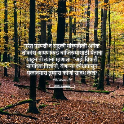 Picture 05 - मत्तय 3:7 MARIRV - परंतु परूशी व - Bible Verse Picture