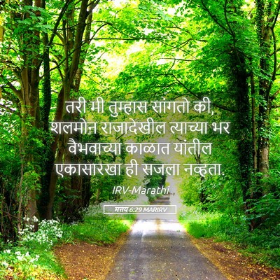Picture 05 - मत्तय 6:29 MARIRV - तरी मी तुम्हास - Bible Verse Picture