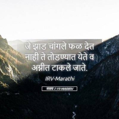 Picture 05 - मत्तय 7:19 MARIRV - जे झाड चांगले फळ - Bible Verse Picture