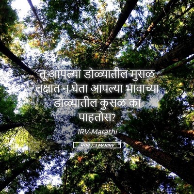 Picture 05 - मत्तय 7:3 MARIRV - तू आपल्या - Bible Verse Picture