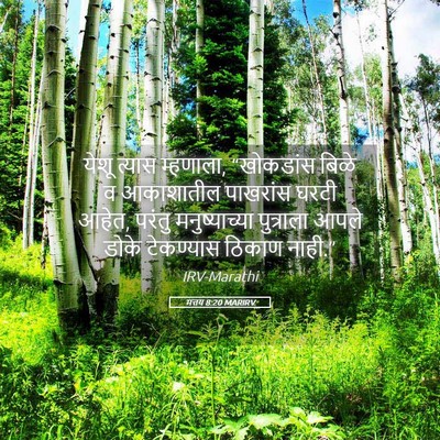 Picture 05 - मत्तय 8:20 MARIRV - येशू त्यास - Bible Verse Picture