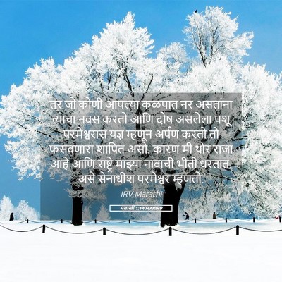 Picture 05 - मलाखी 1:14 MARIRV - तर जो कोणी आपल्या - Bible Verse Picture