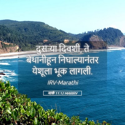 Picture 05 - मार्क 11:12 MARIRV - दुसऱ्या दिवशी, ते - Bible Verse Picture