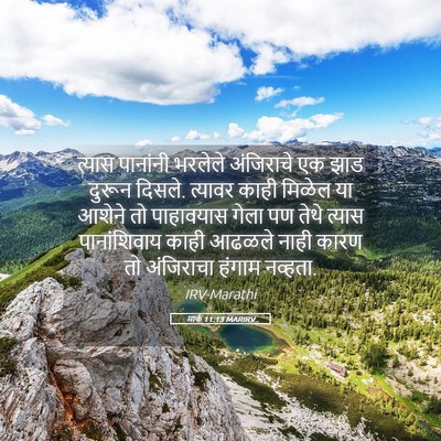 Picture 05 - मार्क 11:13 MARIRV - त्यास पानांनी - Bible Verse Picture
