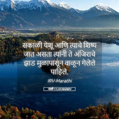 Picture 05 - मार्क 11:20 MARIRV - सकाळी येशू आणि - Bible Verse Picture